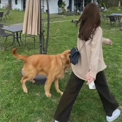 【海王海王女的博弈】《无法抗拒的他》宋江韩素希：知道是渣男却无法抗拒的致命诱惑